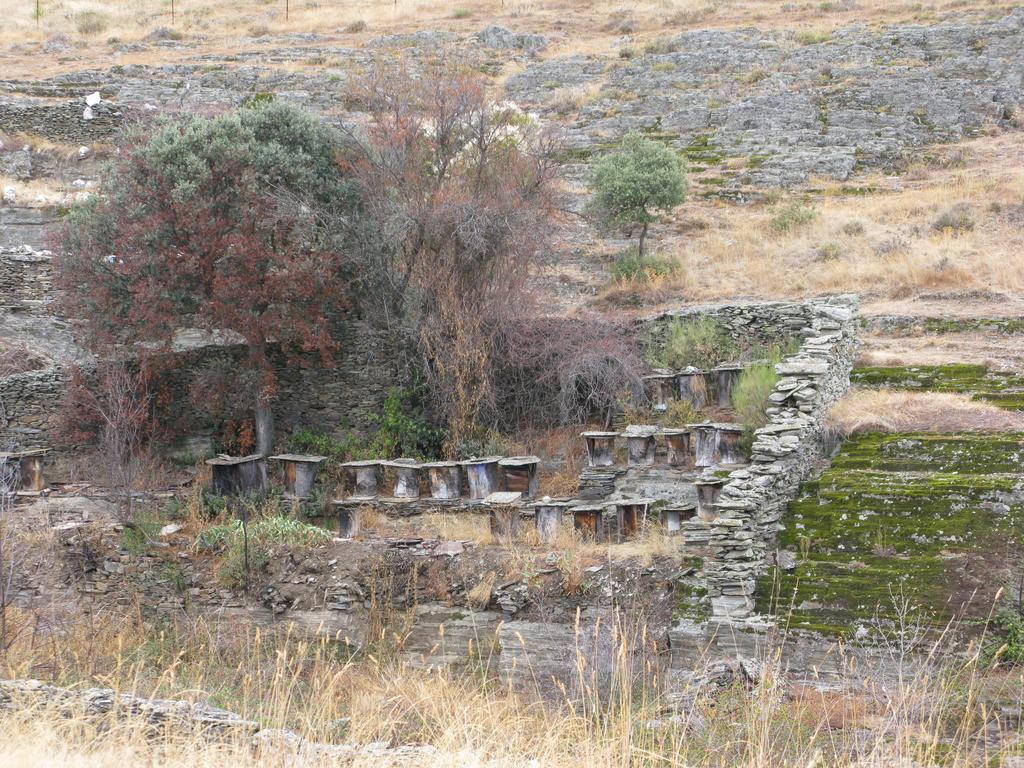 Hosteria Camino Luyego de Somoza Esterno foto